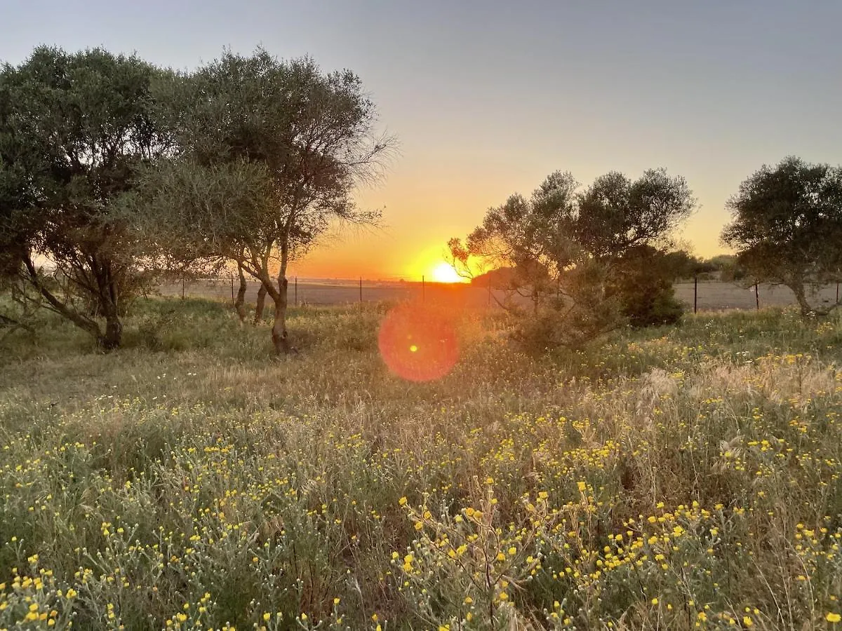 Kemping Hotel Tranquilo Glamping Hozanejos Hiszpania