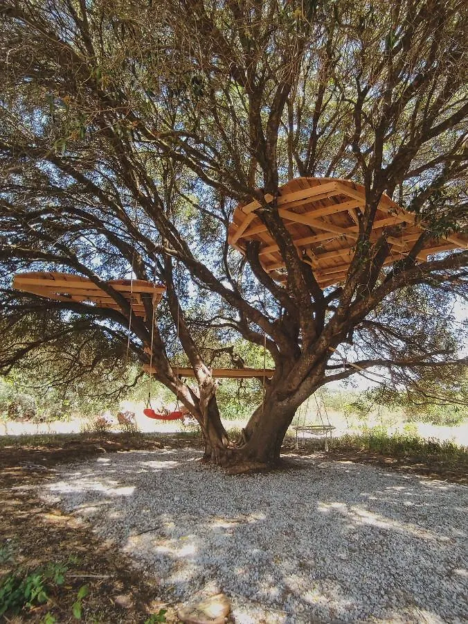 Kemping Hotel Tranquilo Glamping Hozanejos