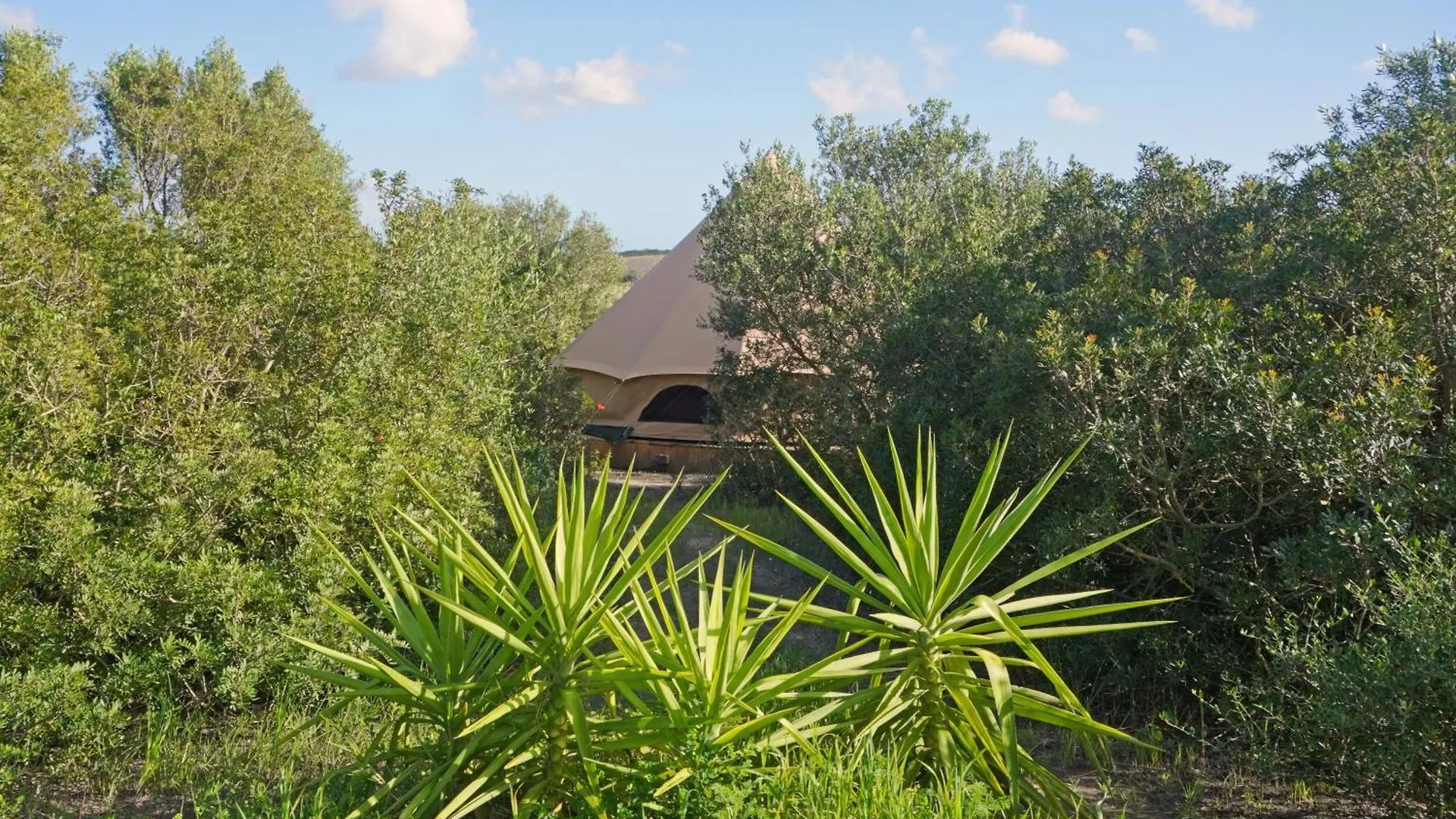 Hotel Tranquilo Glamping Hozanejos Hiszpania