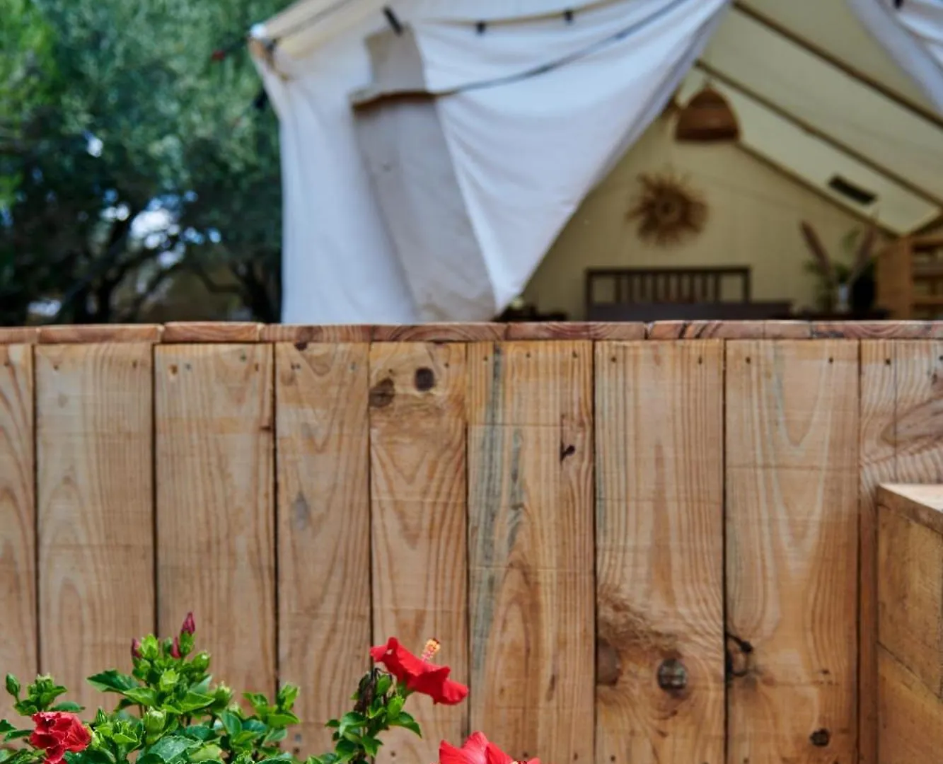 Hotel Tranquilo Glamping Hozanejos