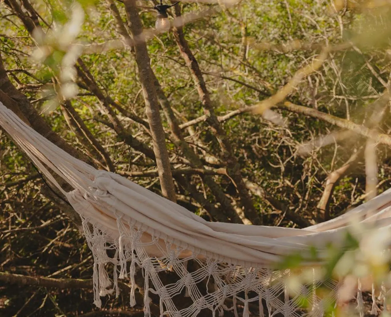 Tranquilo Glamping Hotel Hozanejos